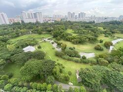 Clover By The Park (D20), Condominium #519109611
